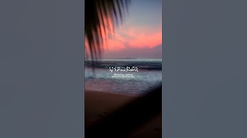 سورة: الإنسان بصوت القارئ: اسلام صبحي 🤍.    #اسلام_صبحي #قرآن #اكتب_شي_تؤجر_عليه #quran