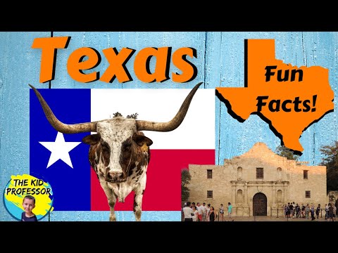 Texas Fun Facts | Geography Series on the States