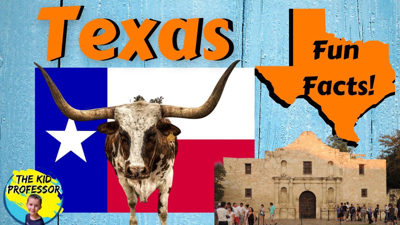 Texas Fun Facts Geography Series on the States YouTube