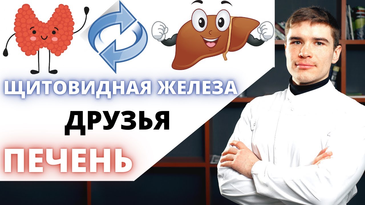 Жирная печень вызывает гипотиреоз или дефицит гормонов щитовидной железы создаёт стеатоз печени.