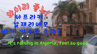 와이리 좋노~ 알제리 비 쏟아 진다!! (Feel so good😜) #Algeria  #Korea #알제리 #북아프리카