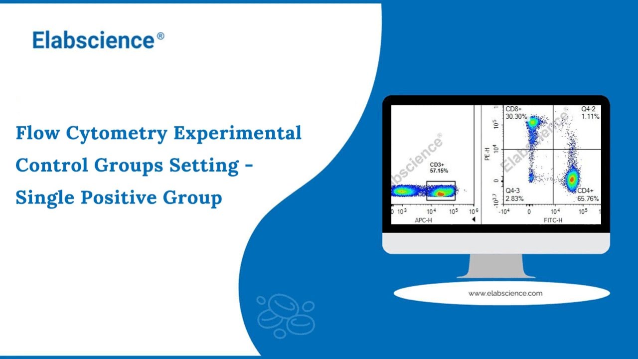 Flow Cytometry Experimental Control Groups Setting - Single Positive ...
