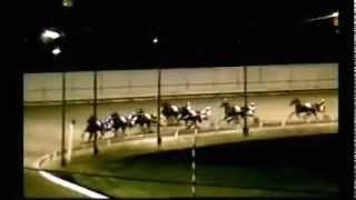 Buffalo Raceway NYSS Color Of Money
