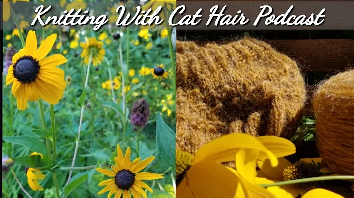 Ep. 47 - Marie Wallin & Autumn knit updates + sola...