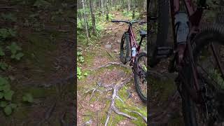 Techy Trail on a Walmart Bike, Mongoose Ardor in Bangor Maine
Techy Trail on a Walmart Bike, Mongoose Ardor in Bangor Maine Techy Trail on a Walmart Bike, Mongoose Ardor in Bangor Maine