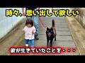 【優しすぎる犬】甲斐犬が赤ちゃんと散歩したら守ろうと一生懸命で・・・