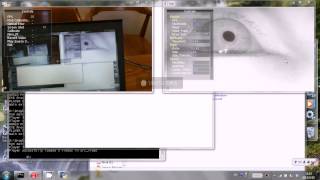 calibration of pupil eye-tracker