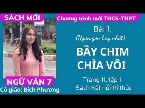 Video Bầy chim chìa vôi | Bài 1 - Trang 11 - Ngữ văn lớp 7 -... - YouTube