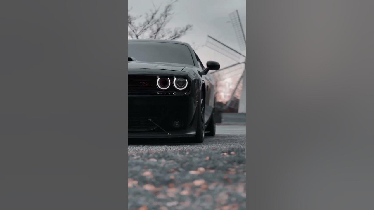 Mustang attitude status π₯΅ #mustang #shorts #supercars #short Mustang attitude status π₯΅ #mustang #shorts #supercars #short