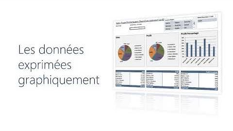 Microsoft Dynamics NAV 2013 - ERP international - Transformer les données en information