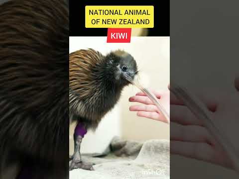 National animal of