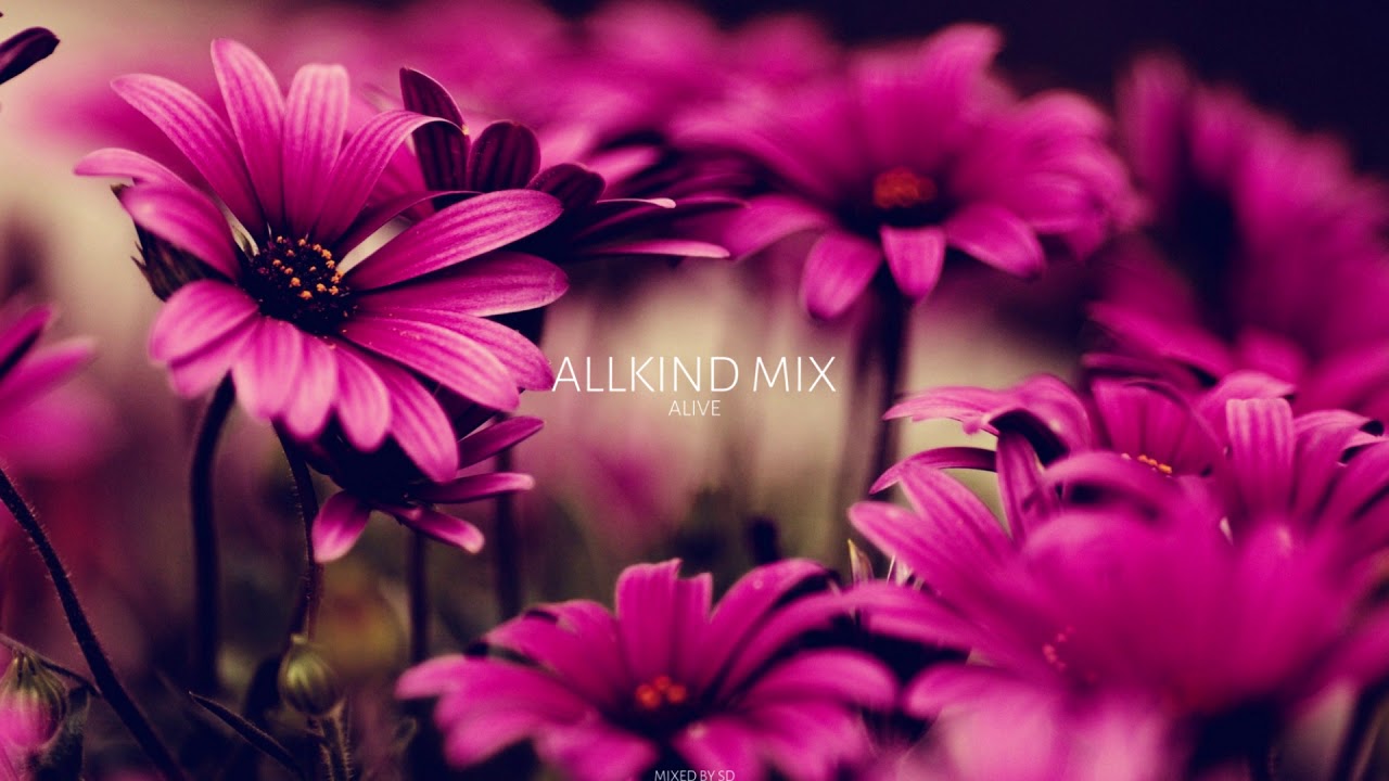 ALLKIND MIX   ALIVE MIXED BY SD 