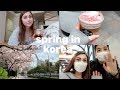 SPRING DAY IN THE LIFE | korea update + cooking with friend