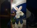 who is the "all roads lead to Rome" rabbit?