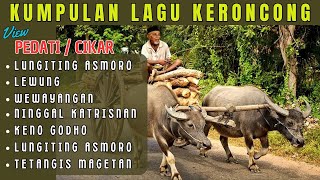 KUMPULAN LAGU KERONCONG || Lungiting asmoro, Wewayangan, Lewung || view PEDATI, CIKAR