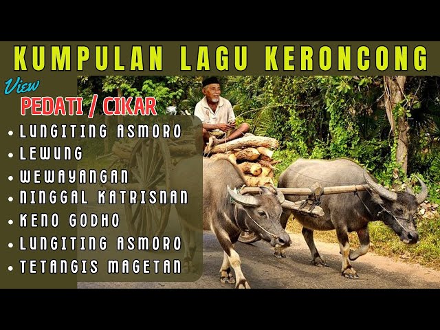 KUMPULAN LAGU KERONCONG || Lungiting asmoro, Wewayangan, Lewung || view PEDATI, CIKAR class=