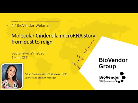 Vídeo: Integração De Mudanças De MicroRNA In Vivo Identifica Novas Características Moleculares Da Resistência à Insulina Muscular No Diabetes Tipo 2