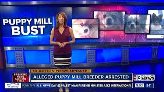Alleged Pomeranian puppy breeder arrested