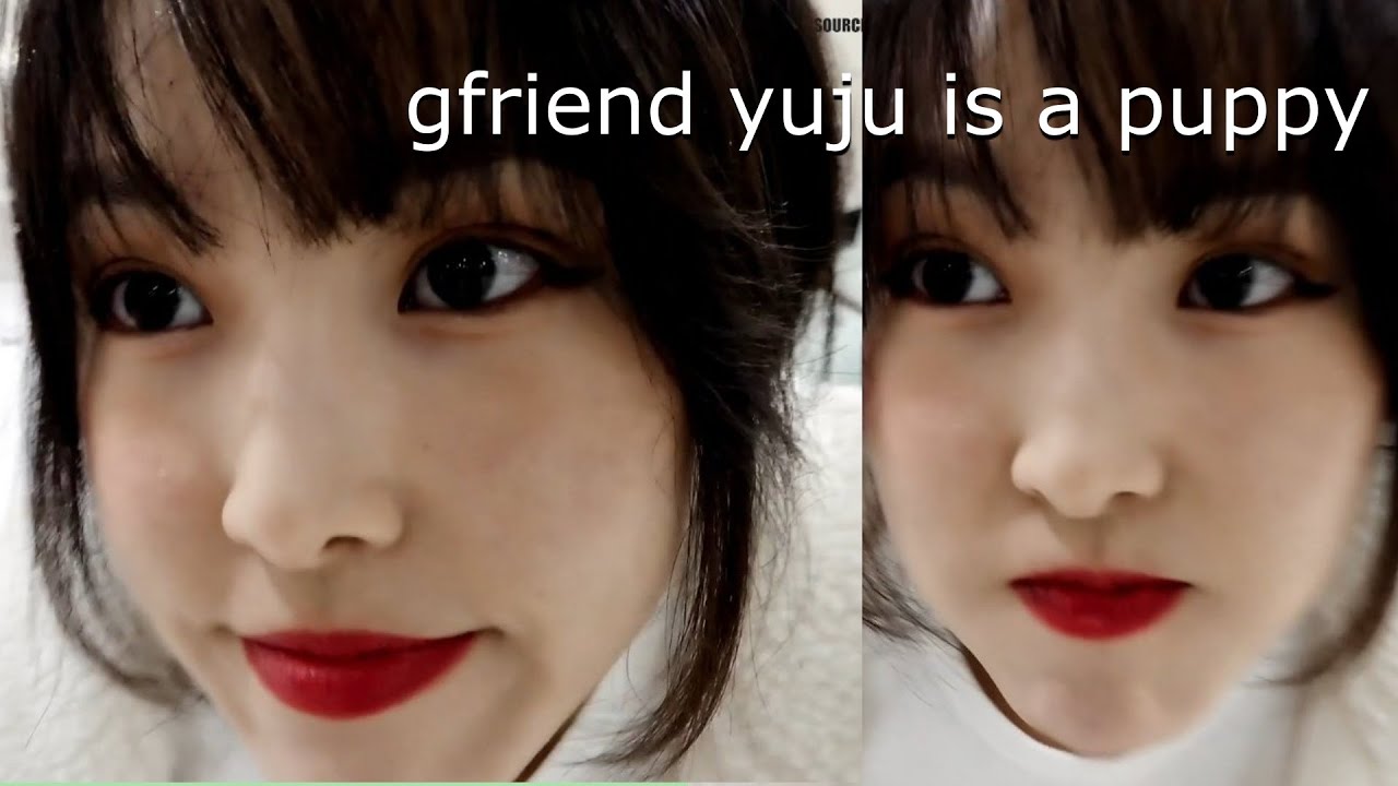 gfriend yuju as a puppy, yupup | 여자친구 유주 멍무