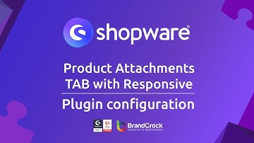 Shopware 6 Plugin Product Attachments TAB with Responsive