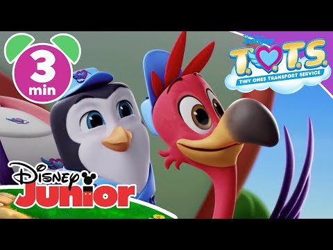 Disney Junior - Help your little tots find out which adorable animal  they're matched with using this fun T.O.T.S. game! Post their results in  the comments 🐧