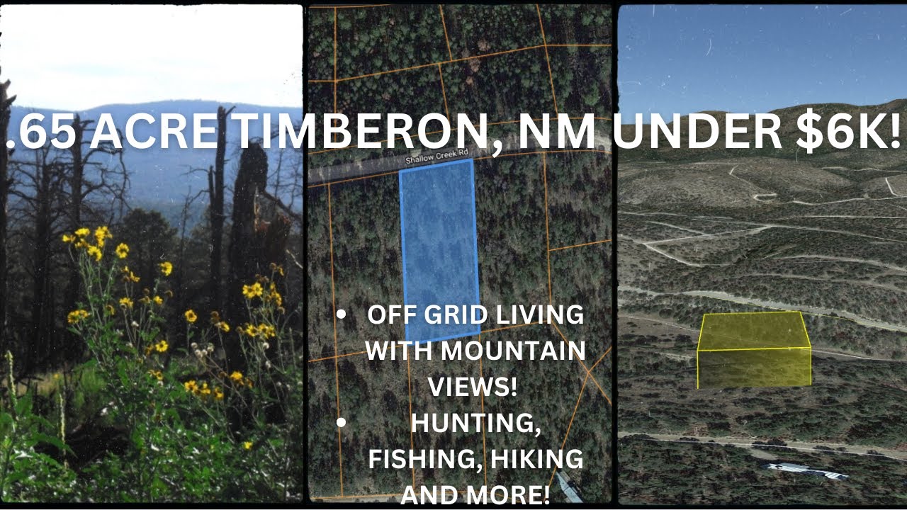 .65 ACRE TIMBERON, NM UNDER 6K! OFFGRID LIVING WITH MOUNTAIN VIEWS
