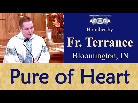 6th Beatitude - Nov 27 - Homily - Fr Terrance