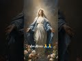 Ave Maria pray for our families 🙏🙏