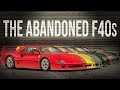 How Many Ferrari F40s Are 'Abandoned' In Brunei?