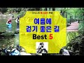 여름에 걷기 좋은 길 BEST5 l 계곡여행 ㅣ 여름여행지추천 ㅣ 국내여행