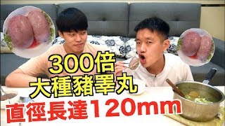 【狠愛演】300倍大種豬睪丸『直徑長達120mm』