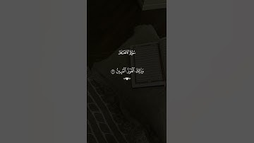حين يثبّت الإيمان قلبك وسط الابتلاء | تلاوة مؤثرة من سورة الأنعام بصوت ماهر المعيقلي