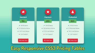 Awesome responsive pricing table using only HTML and CSS - make pricing table - Pure CSS Tutorials