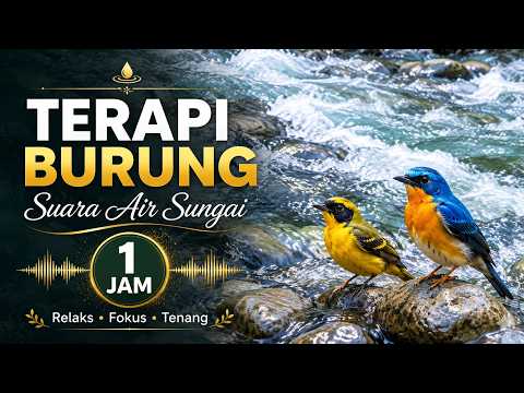 Suara Air Deras Alami untuk Burung Lebih Nyaman | 1 Jam