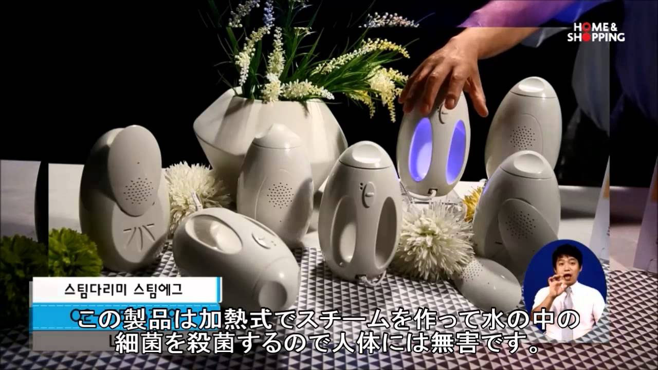 STEAM EGG HNS Japanese Title