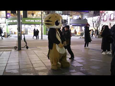 JHKTV] 신촌명물고양이너는춤 나는일  shinchon special <strong>cat</strong> You dance, but I <strong>work</strong>.