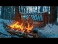 24 Hours in the Perfect Bushcraft Camp. See How I Did It!