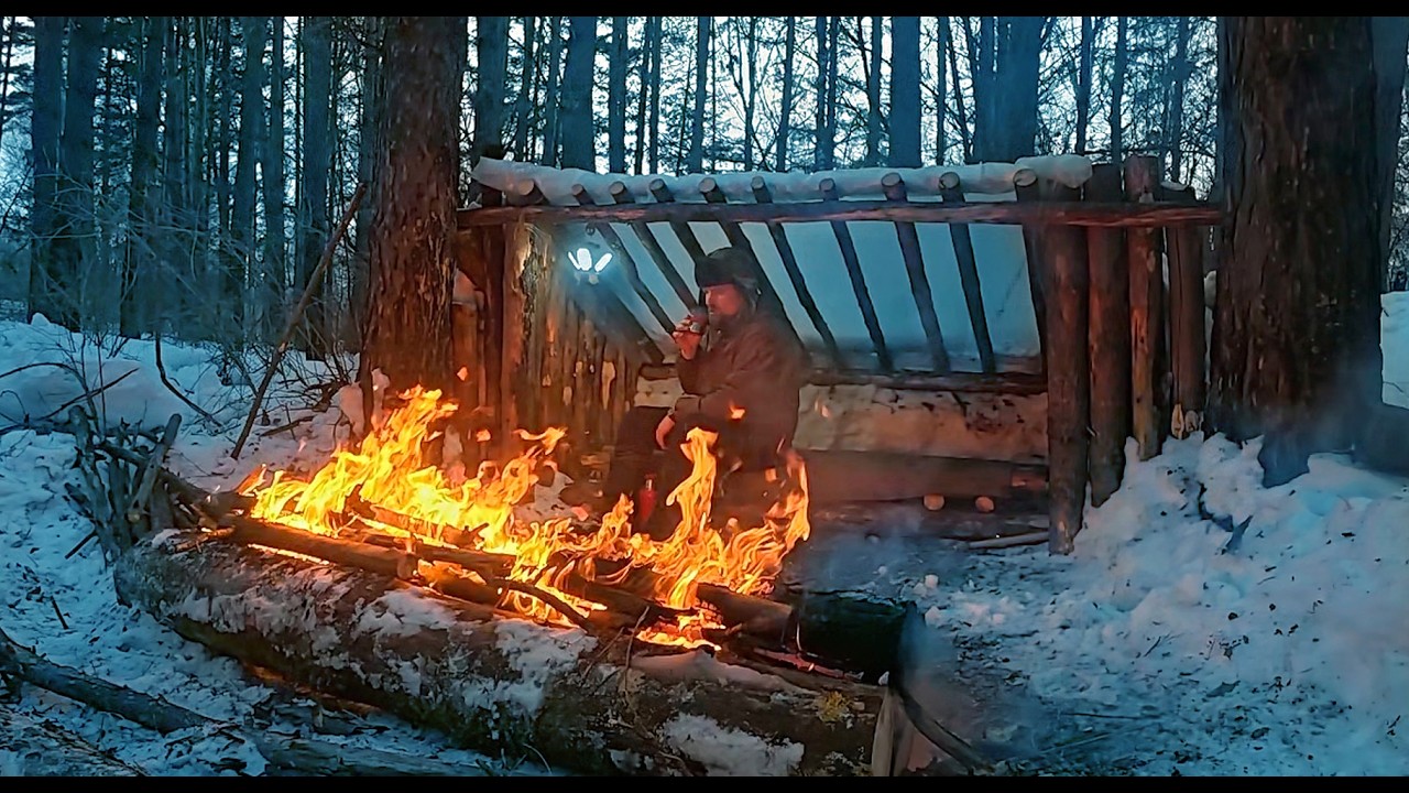 24 Hours in the Perfect Bushcraft Camp. See How I Did It!