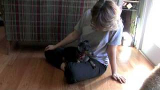 Max and Harley  all rights reserved 2009 Bill Hines