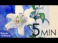[Eng sub] 5min Easy Watercolor | White Lily Flower