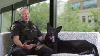 Lynnwood's K-9 Heroes: Police Dog Zando
