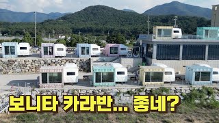 변산반도 고사포 해수욕장 보니타카라반에서 1박 2일, 조개가 넘치는구나