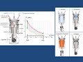 Ciclo termodinámico del motor Otto