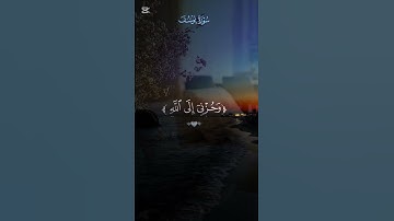 ارح قلبك بصوت هادئ💚#القرآن_الكريم #صوت_جميل #تلاوة_هادئة #راحة_نفسية