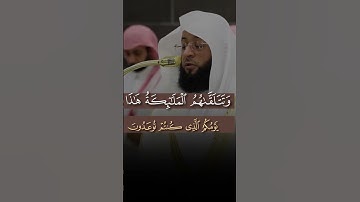 تلاوة إبداعية من الشيخ بدر التركي سورة الأنبياء