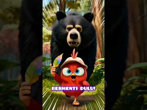 AYAM KECIL DIKEJAR BERUANG⁉️Endingnya Bikin Malu 😂🐻 #shorts #animasilucu