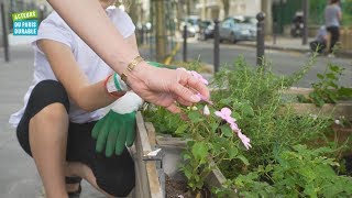 Végétaliser Sa Rue Cest Permis