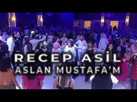 RECEP ASİL - ASLAN MUSTAFA'M | 2022