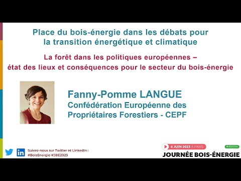 La forêt dans les politiques européennes par Fanny-Pomme LANGUE (CEPF)