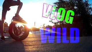 VLOG ● НЕМНОГО ДИКИЙ